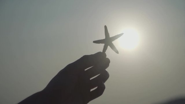 A young man on holiday in the tropics holds a sand dollar up to the setting sun; tropical beach vacation; slow motion.