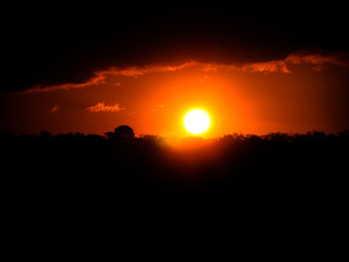 defocused sun at the sunset over the trees, Puebla, Mexico