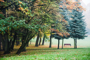 piękna jesień w parku, ławka