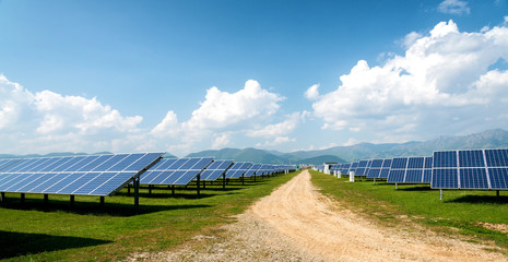 Panoramic view of solar panels, photovoltaics, alternative electricity source - concept of...
