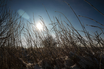 Fototapeta premium winter landscape