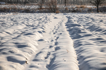 traces of snow