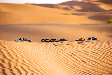 Fototapeta na wymiar Huge dunes of the desert. Beautiful structures of yellow sand dunes. United Arab Emirates. Asia.
