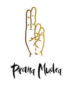 Prana-Mudra Images – Browse 28 Stock Photos, Vectors, and Video | Adobe