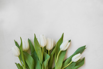 White tulips bouquet with copy space, top view spring mothers's day greeting with flowers bouquet and copy space