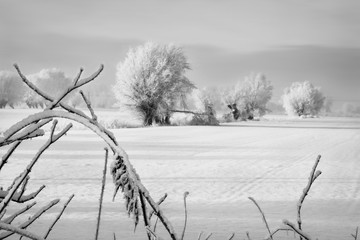 piękny zimowy krajobraz, pole