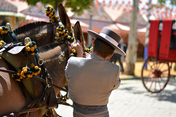 a rider arranges the horses and the carriage