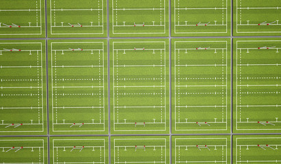 Rugby pitch with lines and goals. 3D Rendering