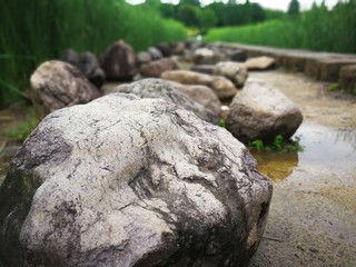 Rocks in the garden