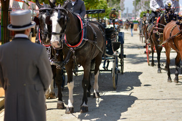 horses and carriages at the traditional Feria de Abril in Seville