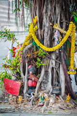 Spirit Thailand Banyan tree adorned with ribbons and spiritual artifacts