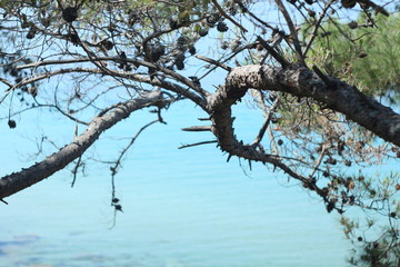 beautiful Athens landscape