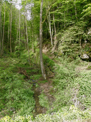 A thin stream flowing between the mountains on the green grass