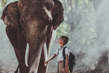 Man and childrens going in the jungle with the elephant, lifestyle moments from northern Thailand