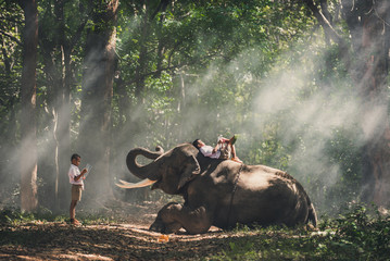 School boy studying in the jungle with his friend elephant