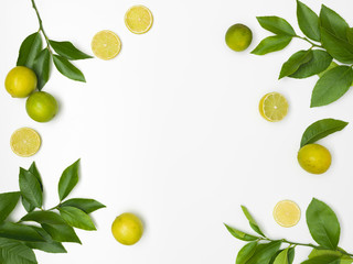 fresh, green limes with green twigs lie on a white background