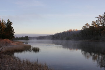 morning on river