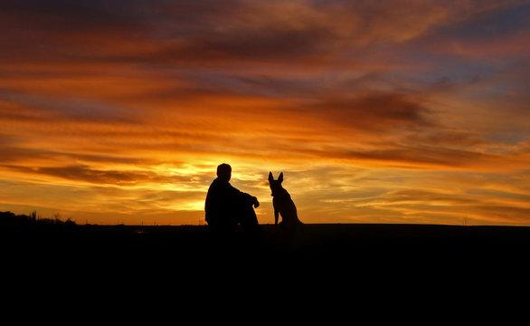 The Man And The Dog On The Background Of The Unlikely Sunset