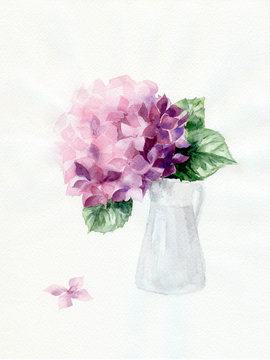 Watercolor illustration with pink hydrangea isolated on white background. Hand drawn picture about blooming purple flowers in spring. Floral painted postcard in watercolor style.