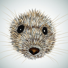 Mouse wild animal vector illustration. Mouse wild animal icon, vector sign, colorful pictogram. Symbol, logo illustration.