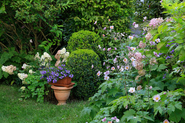 Fototapeta na wymiar Blumen und Grünpflanzen im Garten