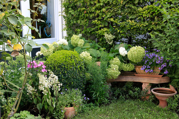 Hortensien mit Deko im Garten