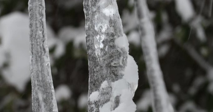 icicles in a winter snow storm