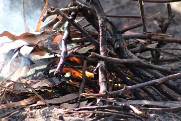 Fire #2