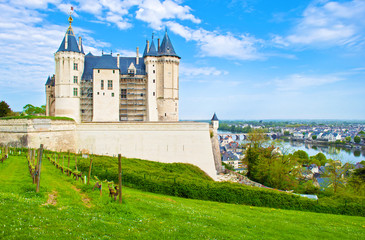 Fototapeta na wymiar Back facade and vineyard near majestic Château de Saumur