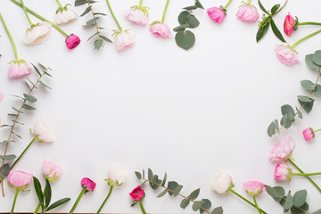 Beautiful colored ranunculus flowers on a white background.Spring greeting card.