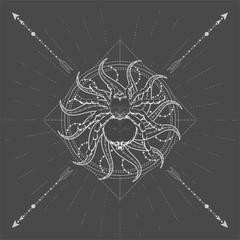 Vector illustration with hand drawn Spider Tarantula and symbol Sun on black background. Abstract mystic sign. White linear shape.