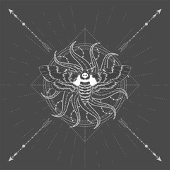 Vector illustration with hand drawn butterfly Dead head and symbol SUN on black background. Abstract mystic sign. White linear shape.