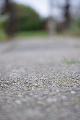 stone