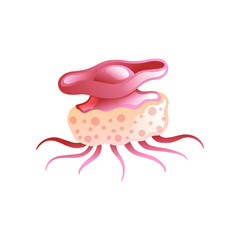 Jellyfish, Beautiful Magenta Swimming Marine Underwater Creature Vector Illustration