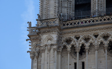 Fototapeta premium Fragment of Notre Dame Cathedral in Paris in France. Chimera on the left tower of the cathedral