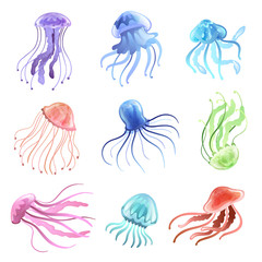 Jellyfish Set, Beautiful Colorful Swimming Marine Underwater Creatures Vector Illustration