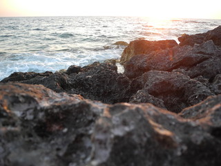 Fototapeta premium coffee, cafe, love, animals, nature, winter, macro, firewood, trees