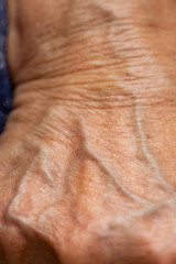 Fototapeta premium Senior woman's wrinkled skin texture of blood in back of the hand, Close up & Macro shot, Selective focus, Body part, Healthcare concept