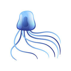 Jellyfish, Beautiful Swimming Marine Underwater Creature, Glowing Transparent Medusa Vector Illustration