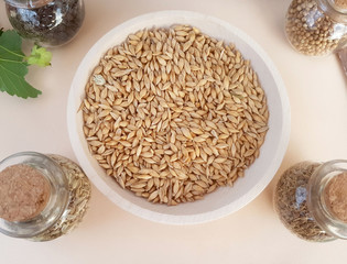 malt for your beer or for your recipes