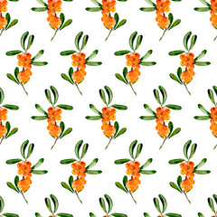 Seamless pattern od branch of sea-buckthorn on white background