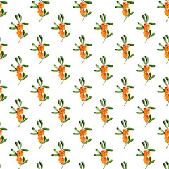 Seamless pattern od branch of sea-buckthorn on white background