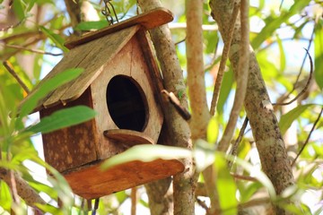 Wooden bird house, nesting box on the tree. Selective focus.