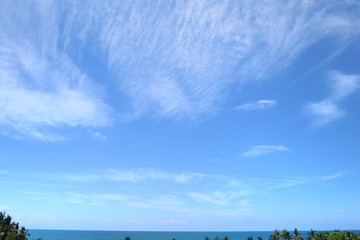 Beautiful view of blue sky and white clouds with the sea and the coconut trees in summer time. Nature concept. 