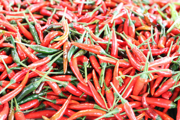 chilli at marketplace