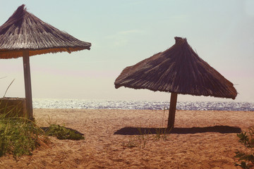 sunny umbrellas on the beach