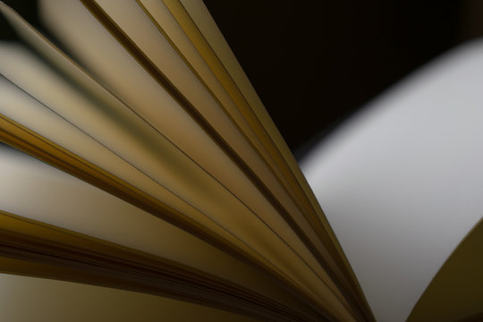 View of book pages 