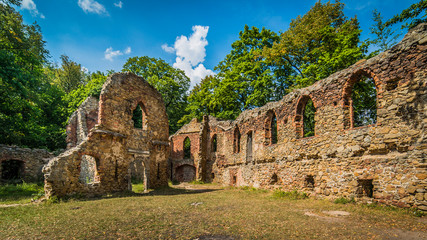 Fototapeta na wymiar Ruins of old Ksiaz castle