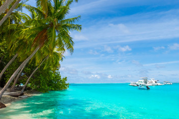 Fototapeta na wymiar Luxury holidays. Seychelles islands