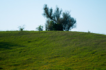 Obraz premium fishing in the morning